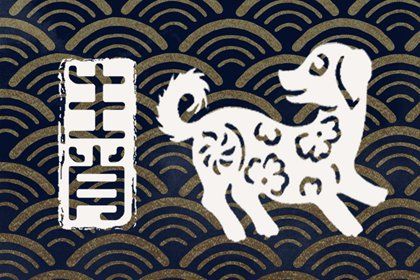 深度解析狗官打一生肖的谜面与文化寓意 深度解析狗官打一生肖的谜面与文化寓意