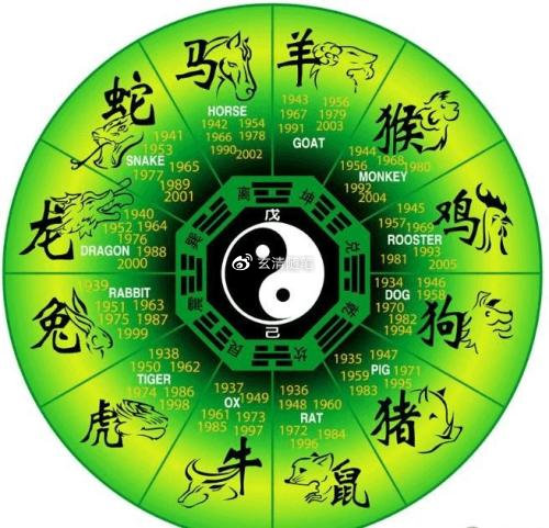 旷性怡情，生肖之谜的精准解答与精神落实