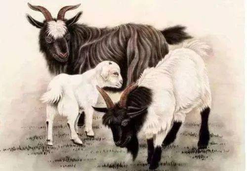 天地一家话生肖，揭秘打一生肖的绝佳作答与文化深意