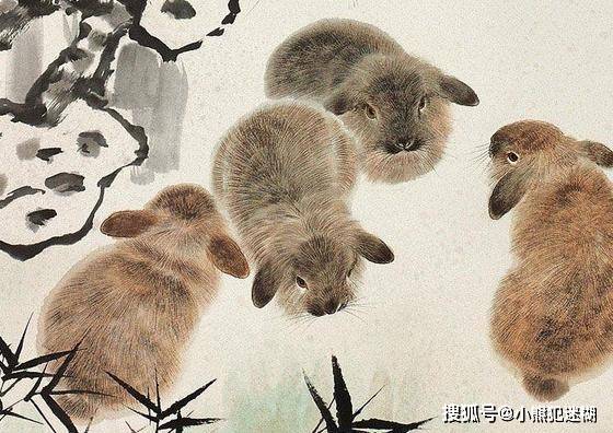 锦字打一生肖,揭秘锦兔背后的文化与智慧 锦字打一生肖,揭秘锦兔背后的文化与智慧