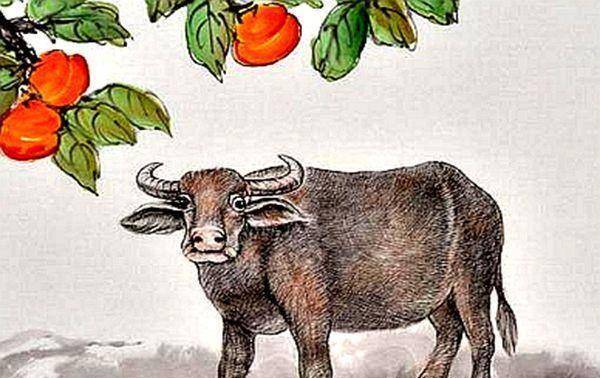 挑挑拣拣打一生肖、神秘解释落实