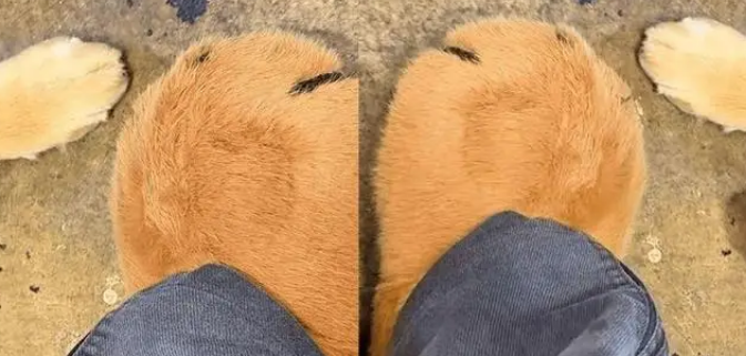 毛手毛脚打一生肖、非凡解释落实