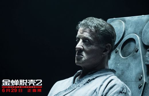 金蝉脱壳打一动物生肖、成就解释落实