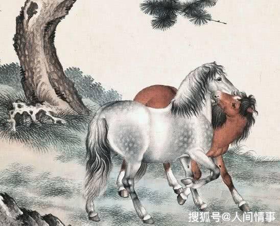 争名谋利打一生肖，揭秘背后的文化寓意