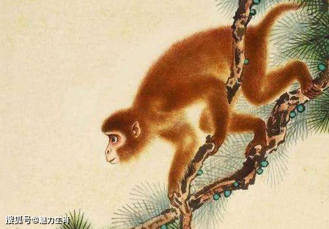 悼心疾首,生肖之谜的快速解答与落实 悼心疾首,生肖之谜的快速解答与落实