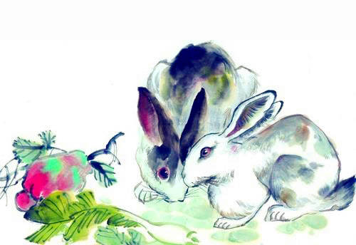 九音萦绕，揭秘非凡生肖—兔的独特魅力与文化解读