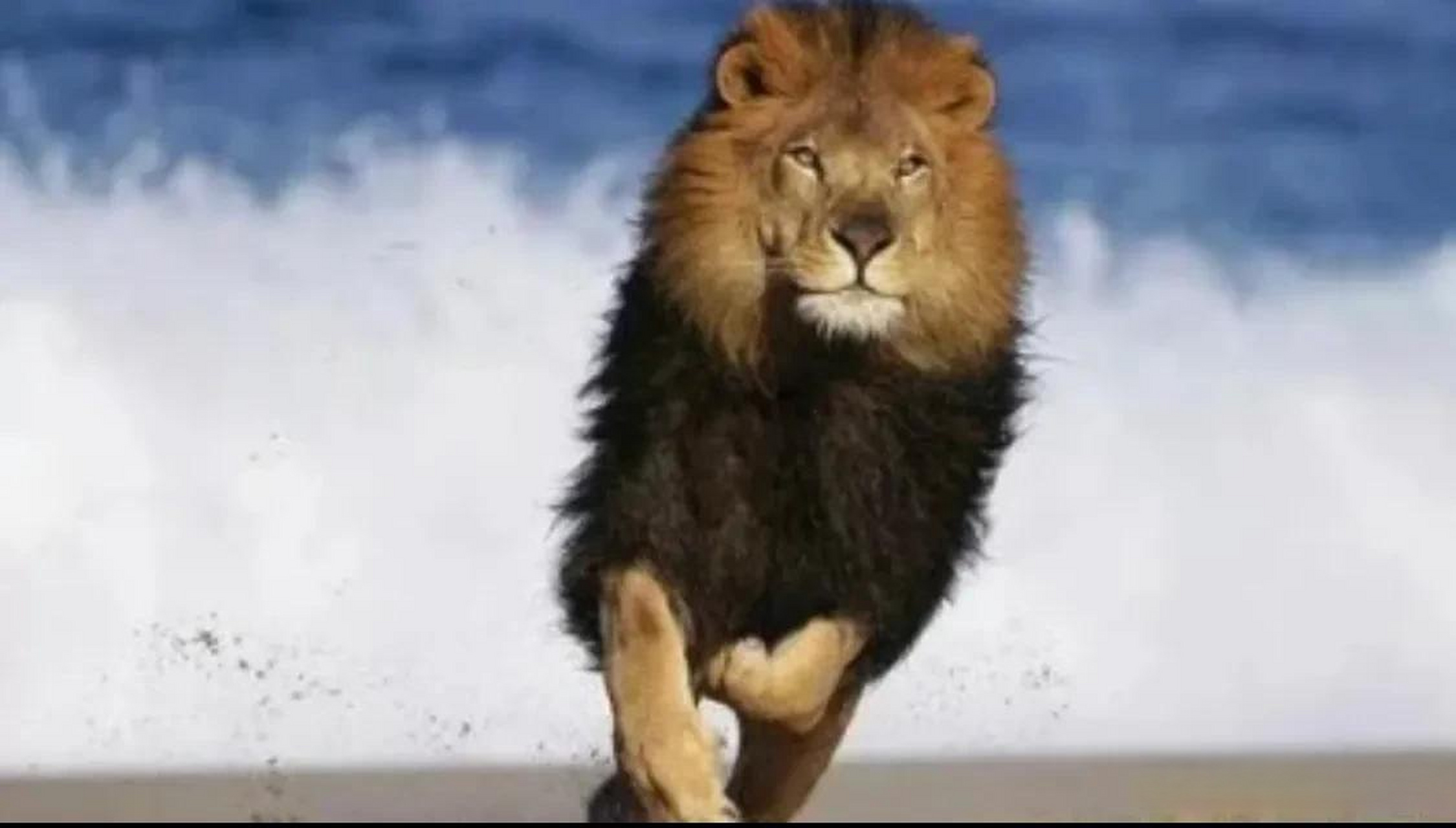 顽打一生肖，挑战与积极行动的完美结合