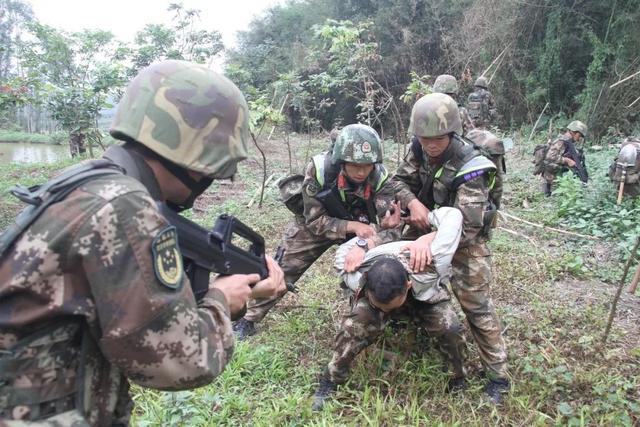 野外战地打一生肖、正确解释与落实