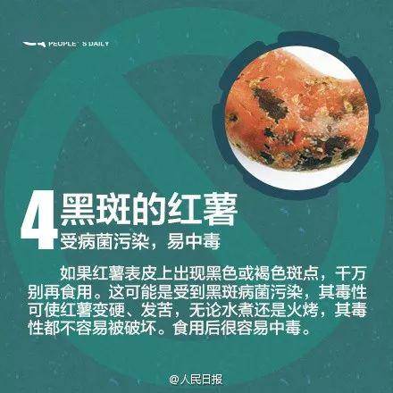 别有用心打一生肖，时代解释与落实的智慧