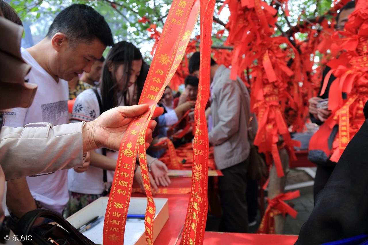 九九归一合五数，生肖之谜的深度解析