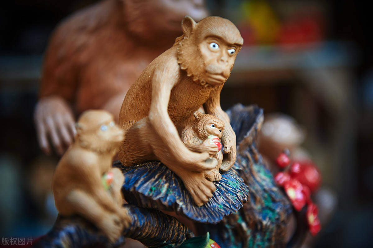 野性男子与生肖之谜，温馨解析与文化解答