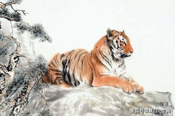 百虑攒心打一生肖，解密与通用解释的落实