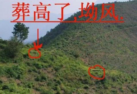 风水宝地打一动物生肖、经典解释作答落实