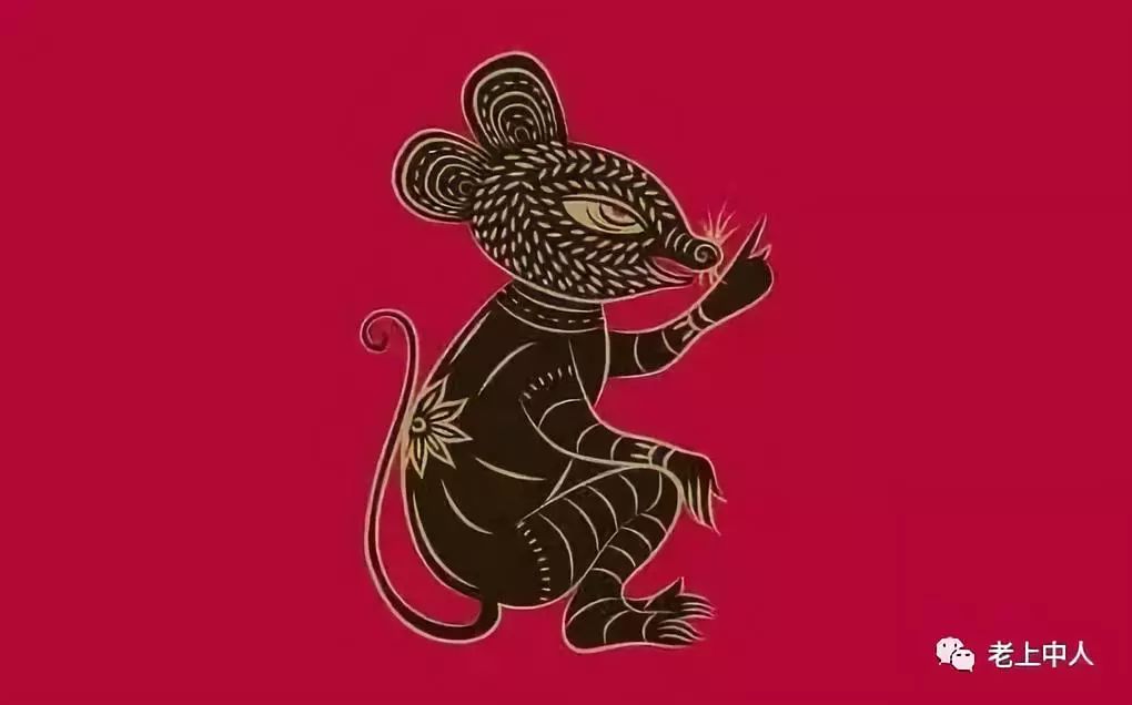 风雨同舟，生肖鼠的沉稳与智慧