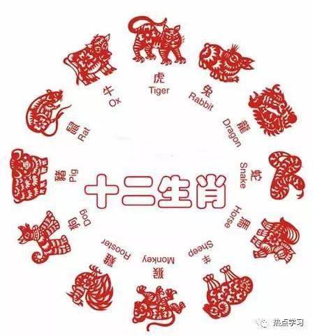 丙打一生肖，探寻无限解释的落实与生肖文化的奥秘