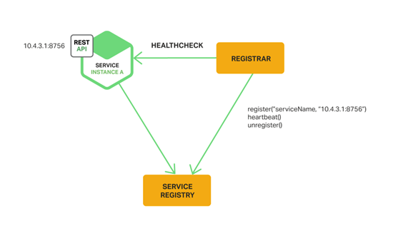 争打一生肖、网络解释的落实