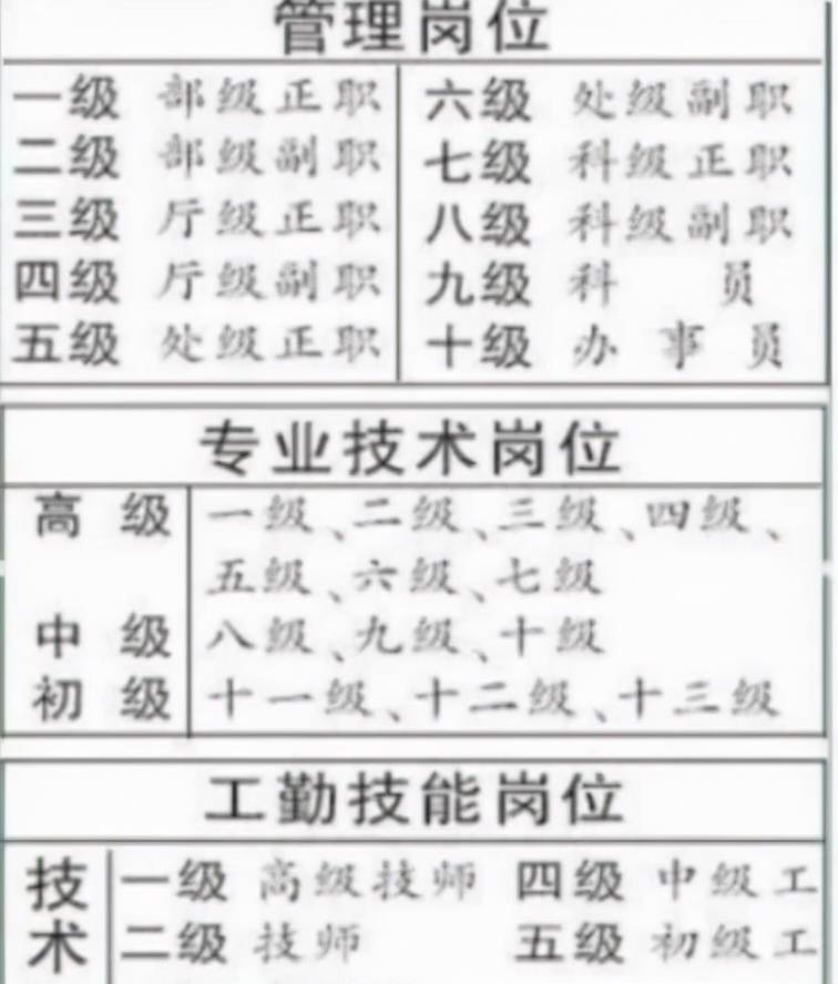 比肩皆是打一生肖、解析作答落实解释