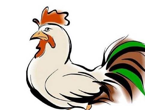 全面揭晓，六畜有特肖，谜底揭秘—生肖猜解大揭秘