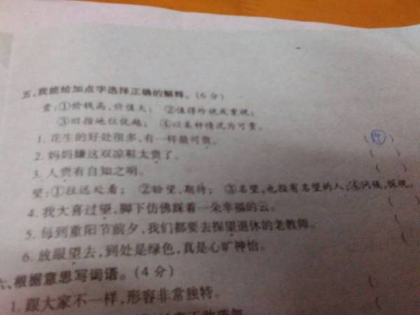 铩羽而归打一生肖、正确解释与落实