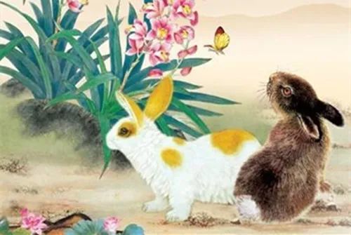 生肖狗兔有玄机打一肖、佩服作答落实解释