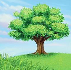 大树打一生肖、友爱作答落实解释