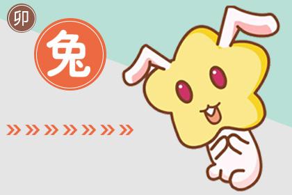 十二生肖之很会跑的兔，灵动身姿与智慧解答的完美结合