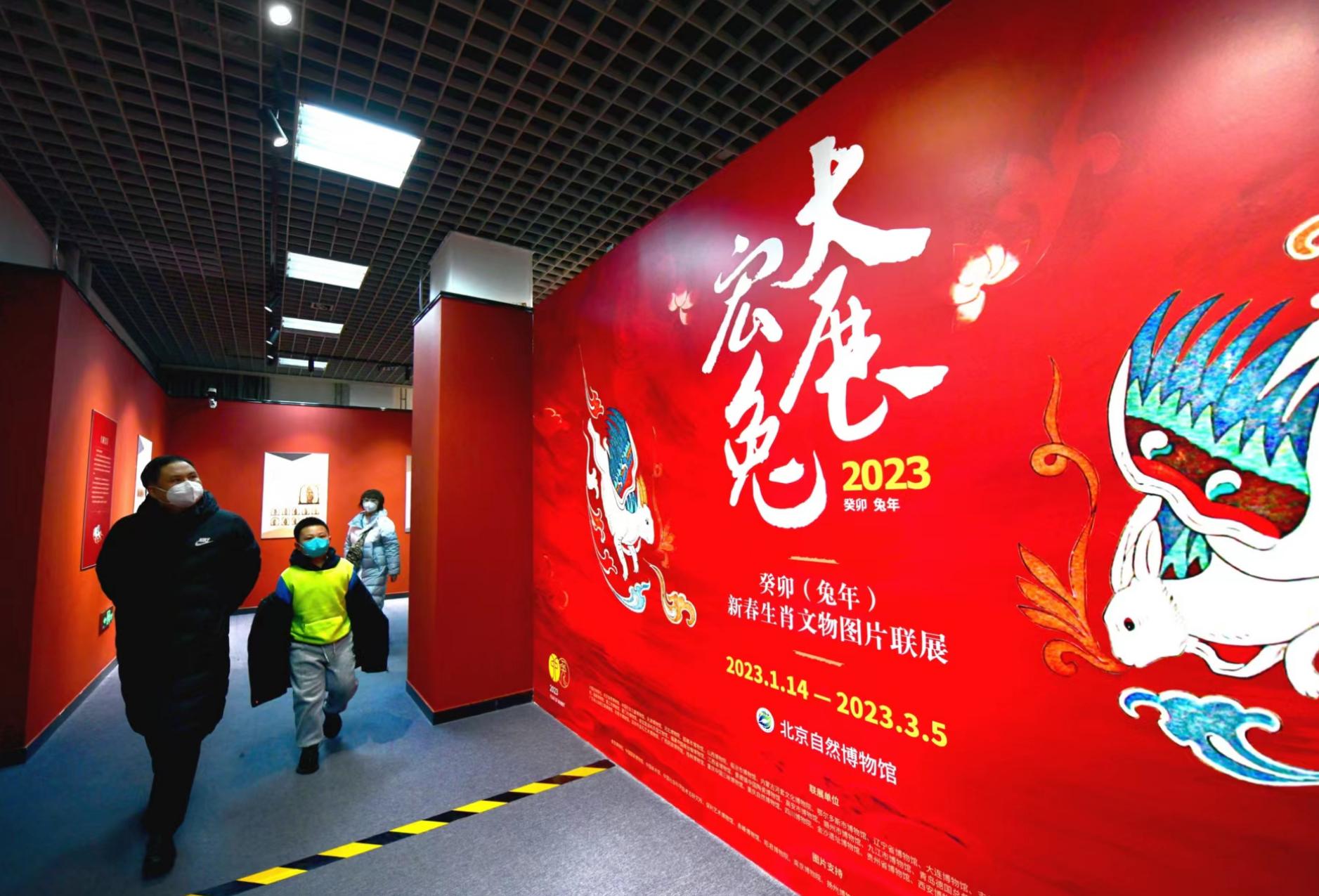 大象与生肖的智慧，理想作答与落实的哲学