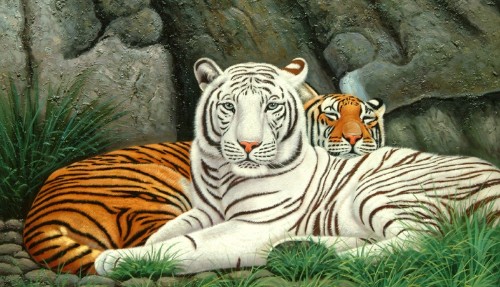 缩成一团，生肖之谜与现代生活智慧