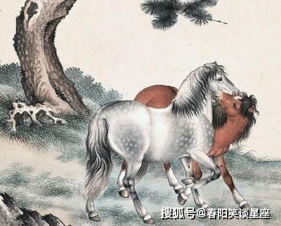 特马生肖返一期打一肖、深度解析与文化寓意