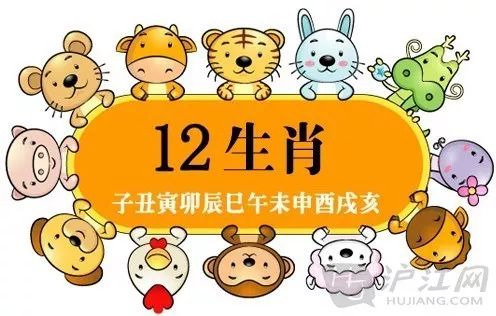耳濡目染与生肖的神秘联系，探寻通常解释落实的深层含义