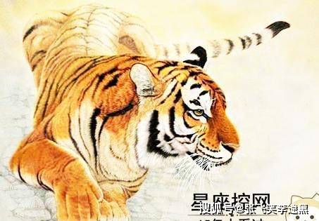 八字一尾打一生肖，经典解释与文化解读