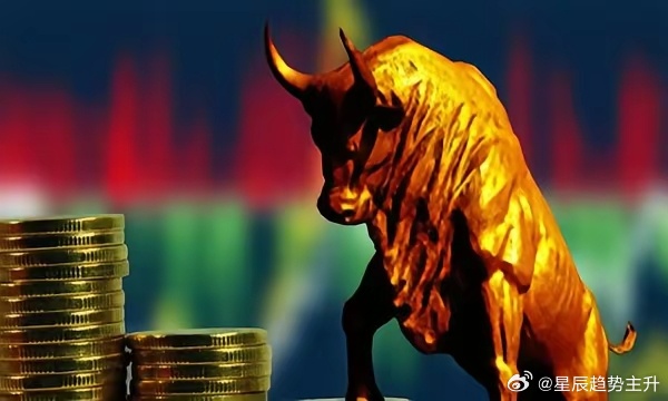 聚沙成塔，深度解析与落实的生肖启示