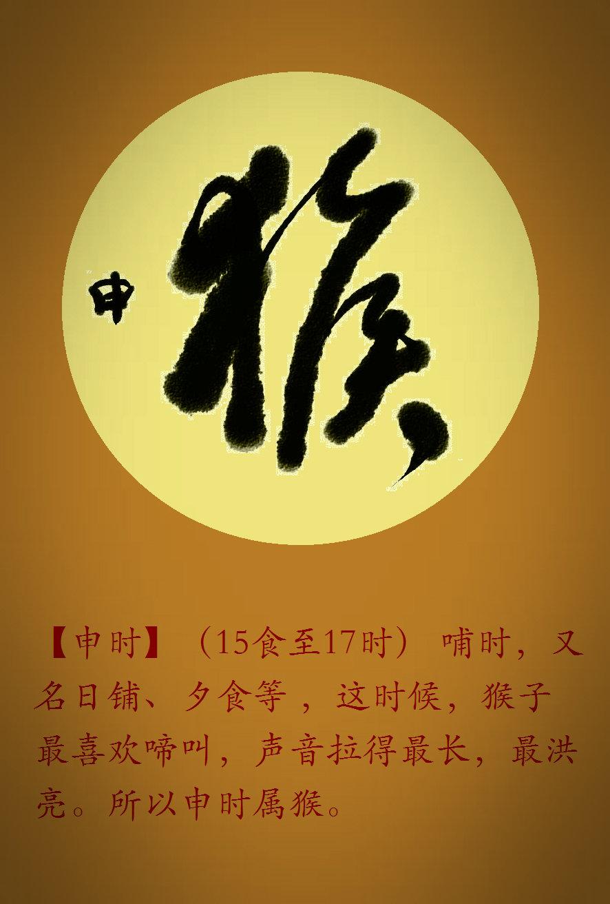 恍然大悟的生肖启示，积极解释与落实的智慧