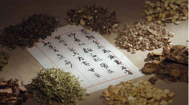 揭秘中药与生肖的奇妙联系，专业视角下的文化与科学融合