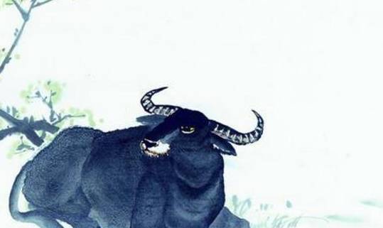 非君莫属打一生肖、的不安分之选