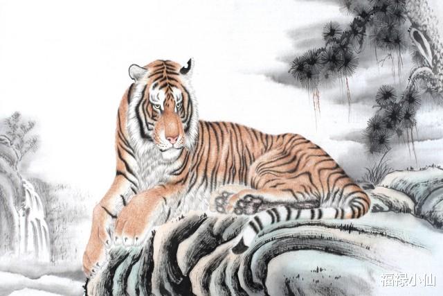 虎有二心，猜生肖之谜，时代解释与落实的深度探索