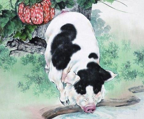 猪狗打一生肖、理想作答落实解释