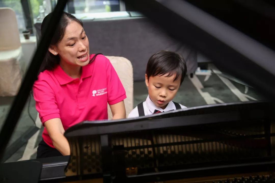 张钰打一生肖、揭秘如何选择并落实正确的