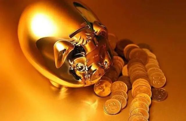 挥金如士，败家子与生肖之谜