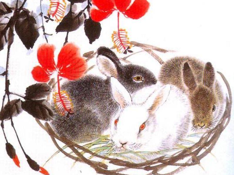 平字打一生肖—兔的温婉与智慧