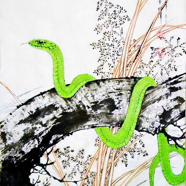 揭秘最奇怪生肖，蛇的奇妙世界与文化解读