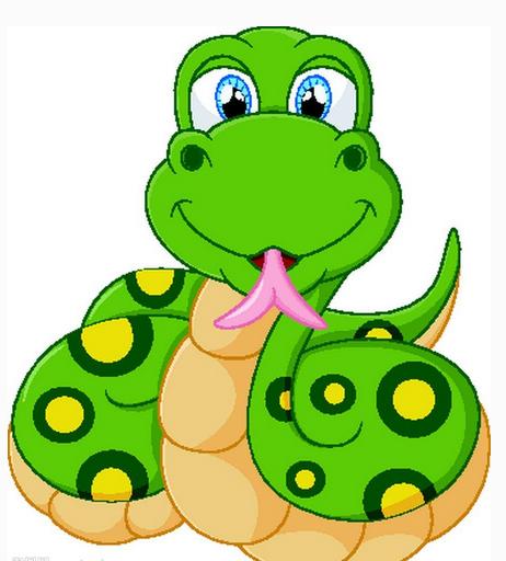 王八打一肖是什么生肖、通常解释落实