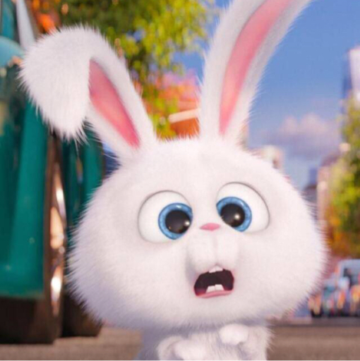 怂打一生肖，生肖兔的隐秘与挑战