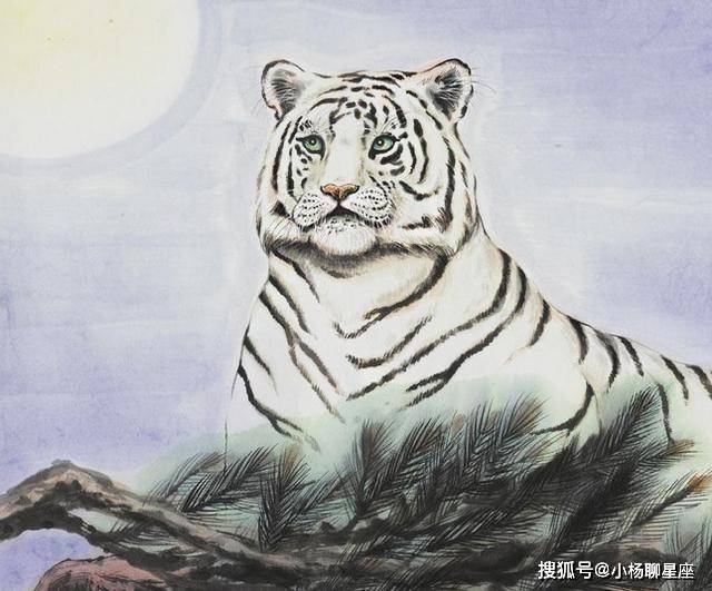 探秘公打一生肖之谜，人生哲理的深度解析