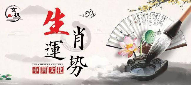 三思而行打一生肖动物、背后的坚韧与不屈