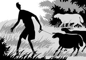 顺手牵羊背后的生肖智慧与绝佳作答策略