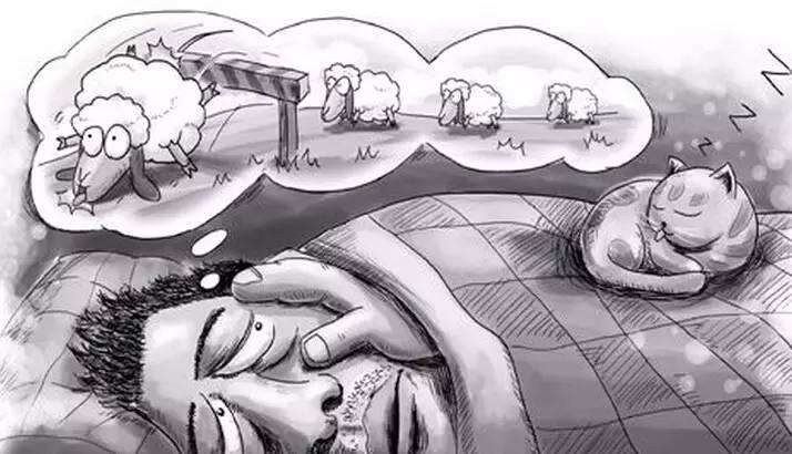 不可名状打一生肖，谜团揭晓与精选解析