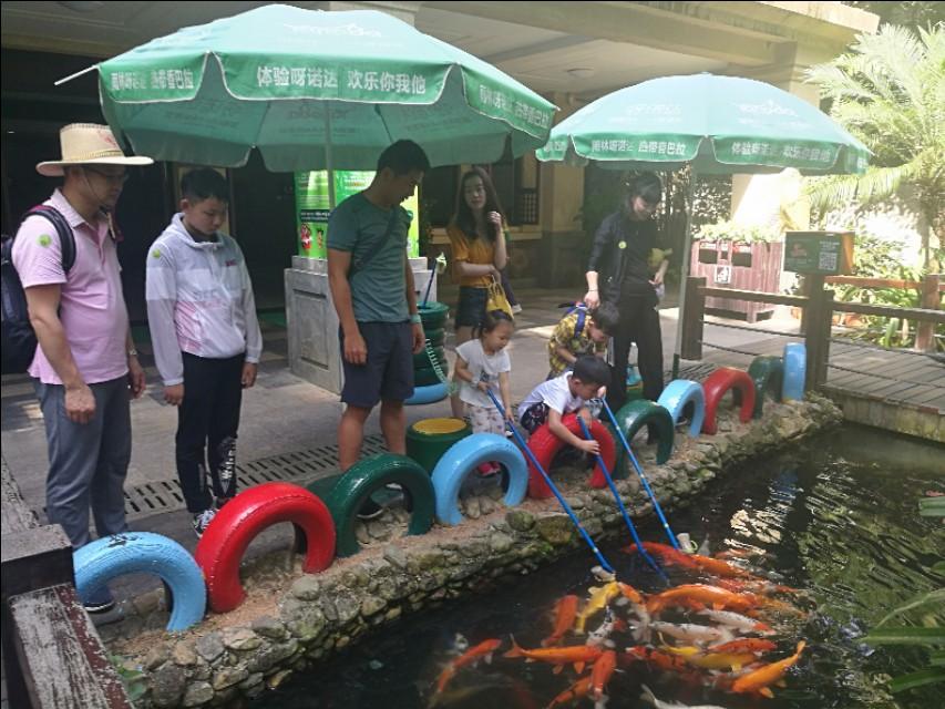 天下.第一家打一生肖、非凡解释落实