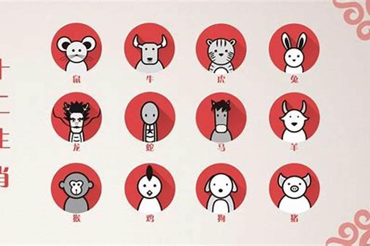 礼尚往来打一生肖、的温馨解析与文化解答