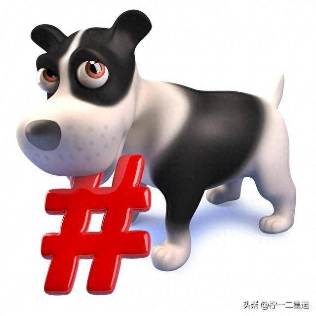 揭秘主夫狗升打一生肖的真相，从网络谜语到文化现象的深度解析